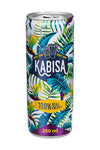 Kabisa Energy